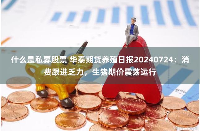 什么是私募股票 华泰期货养殖日报20240724：消费跟进乏力，生猪期价震荡运行