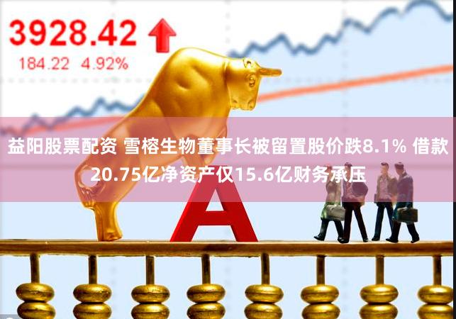 益阳股票配资 雪榕生物董事长被留置股价跌8.1% 借款20.75亿净资产仅15.6亿财务承压